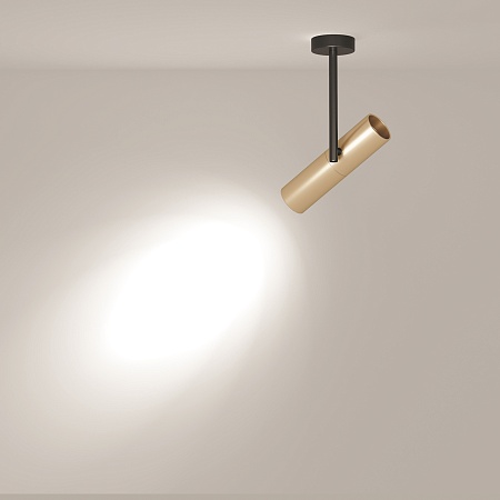 Потолочный светильник Technical Elti C020CL-01GB - фото