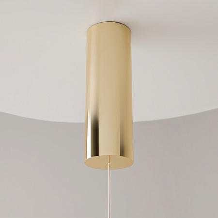 Подвесной светильник Maytoni Golden Cage MOD216PL-L10G3K - фото