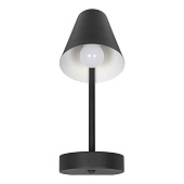 10216/1W Black Настенный светильник LOFT IT Shelf