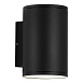 Светильник уличный настенный ST-Luce черный GX53 2*9W SL9007.401.02 - фото