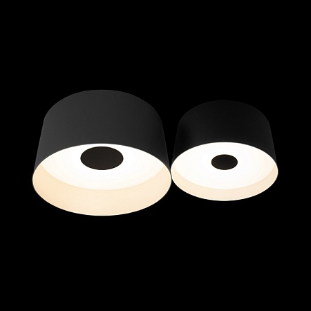 10360/2 Потолочный светильник LOFT IT Duo - фото