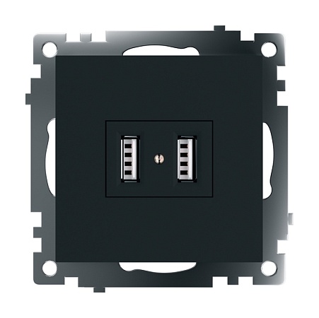 Розетка USB 2-местная (механизм), STEKKER GLS10-7115-05, 250B, 2,1А, серия Катрин, черный - фото