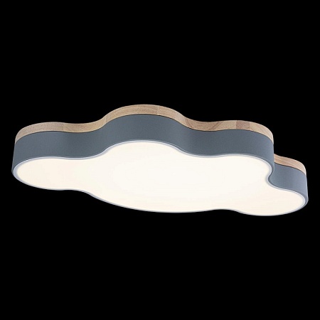 10005/36 Grey Потолочный светильник LOFT IT Axel - фото