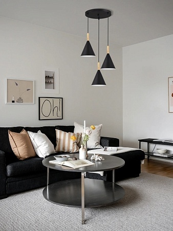 Светильник подвесной Черный/Черный E27 3*40W SLE1255-423-03 - фото