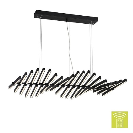 Люстра подвесная ST-Luce Черный/Черный, Белый LED 20*5W 3000-6000K SLD001.403.20 - фото