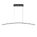 Подвесной светильник Maytoni Curve MOD243PL-L18BK - фото