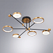 Потолочная люстра Arte Lamp HOLLY A1364PL-6PB - фото