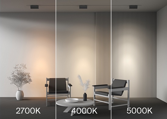 Трековый светильник Technical TR224-1-12WCCT-M-B - фото