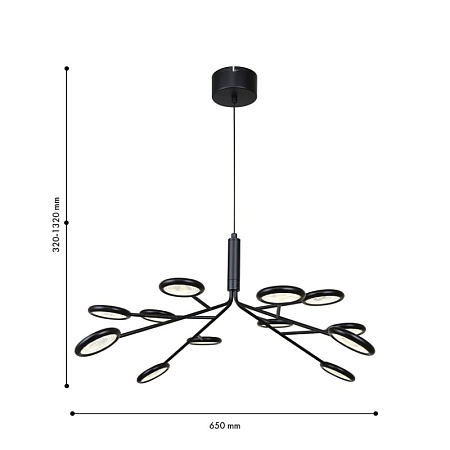 Подвесная/потолочная люстра F-Promo 4252-12P - фото