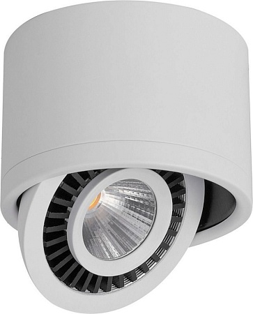 Светильник накладной светодиодный для акцентного освещения FERON AL523 32701 - фото