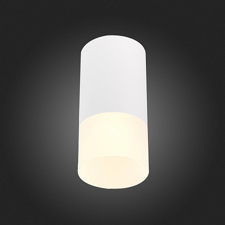 Светильник потолочный Белый GU10 1*50W IP20 D64xH131 220V Без ламп ST100.512.01 - фото