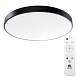 Потолочный светильник Arte Lamp ARENA A2673PL-1BK - фото