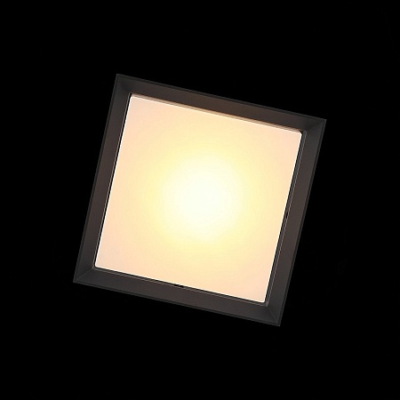 Светильник уличный потолочный ST-Luce Черный/Белый LED 1*12W 3000K SL077.402.01 - фото