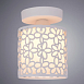 Потолочный светильник Arte Lamp TRAFORATO A8349PL-1WH - фото