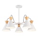 Светильник потолочный Белый, Золотистый/Белый, Светлое дерево E14 5*40W SLE125102-05 - фото