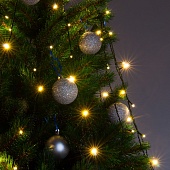 Гирлянда Eurosvet 200-003 теплый белый