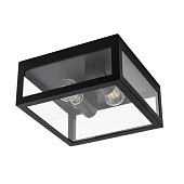 Уличный потолочный светильник ARTE LAMP A4569PF-2BK