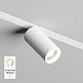 Светильник на шине Denkirs SMART SPOT DK8020-WH - фото