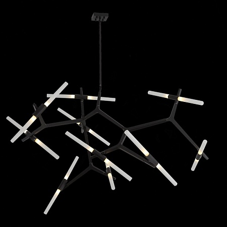 Люстра потолочная ST-Luce Черный/Белый G9 20*5W SL947.402.20 - фото