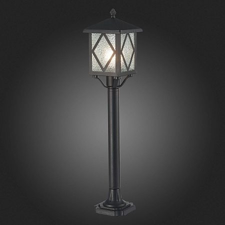 Светильник уличный наземный ST-Luce Черный/Черный, Прозрачный E27 1*60W SL084.415.01 - фото