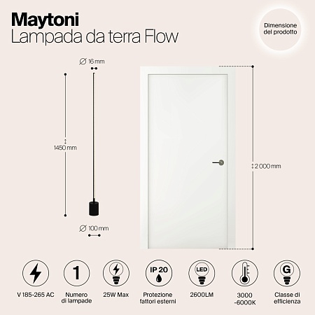 Напольный светильник (торшер) Maytoni Flow MOD147FL-L20BK1 - фото