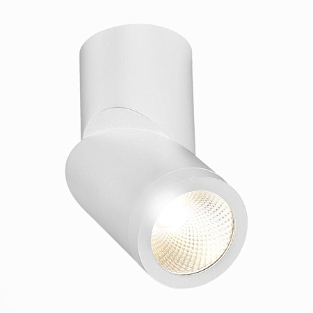 Светильник потолочный Белый LED 1*10W 3000K 800Lm Ra>90 38° IP44 D62xH151 165-265V ST650.532.10 - фото