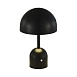 Прикроватная лампа Черный/Черный LED 1*3W 3000-6000K SLE1806-404-01 - фото