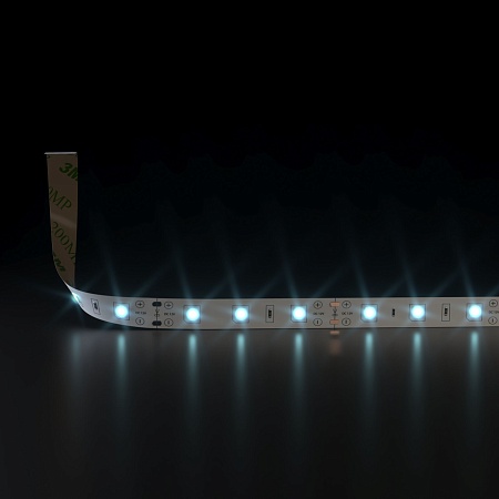 Комплект светодиодной ленты 12 В 4,8 Вт/м 60 Led/м 2835 IP20, холодный белый свет 6500К, 5 м Набор светодиодной ленты 12V 4,8W 60Led 2835 IP20 холодный белый, 5м Elektrostandard - фото