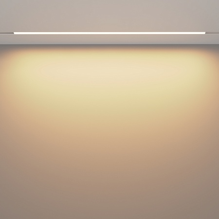 Трековый светильник Technical BASIS TR030-2-30W3K-W - фото