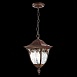 Светильник уличный подвесной ST-Luce Кофейный/Кофейный, Прозрачный E27 1*60W SL083.703.01 - фото