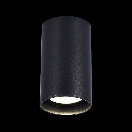 Светильник потолочный Черный LED 1*20W 3000K 1 600Lm Ra>90 60° IP44 D95xH150 220-265V ST157.432.20 - фото