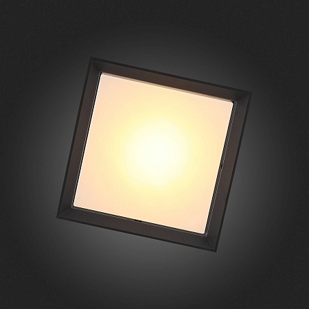 Светильник уличный потолочный ST-Luce Черный/Белый LED 1*12W 3000K SL077.402.01 - фото