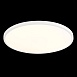 Светильник настенно-потолочный Белый LED 1*48W 3000K 4 320Lm Ra>80 120° IP20 D600xH25 1 ST601.532.48 - фото