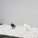 Ландшафтный светильник Outdoor Bern O050FL-L5W3K - фото
