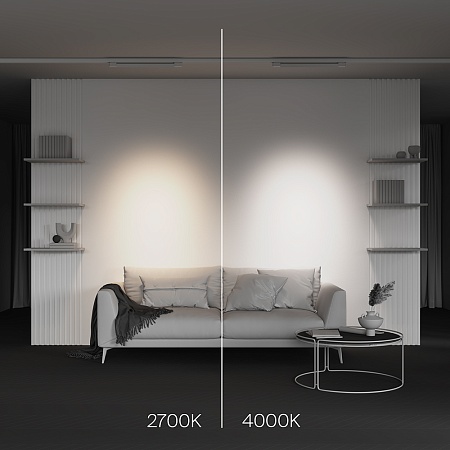 Трековый светильник Technical Points  TR195-3-20W4K-M-W - фото