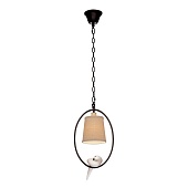 LOFT1029A-1 Подвесной светильник LOFT IT Birds