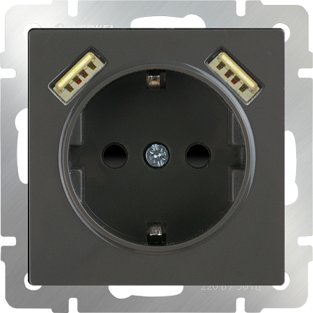 Розетка с заземлением, шторками и USBх2 серо-коричневый WL07-SKGS-USBx2-IP20 - фото