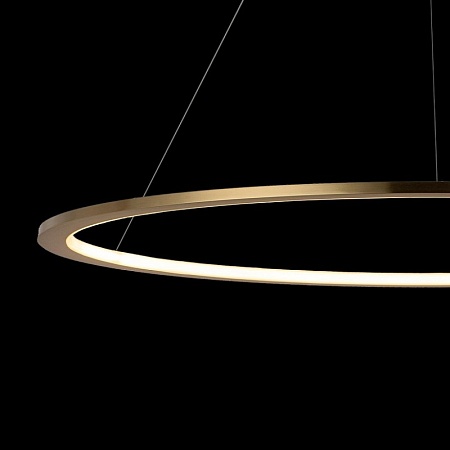 10014L Подвесной светильник LOFT IT Ring - фото