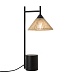 Настольный светильник Freya FR5566TL-01B - фото