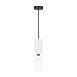 Подвесной светильник Maytoni Memory MOD177PL-01W - фото