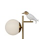 Настольный светильник Freya FR5210TL-01G - фото