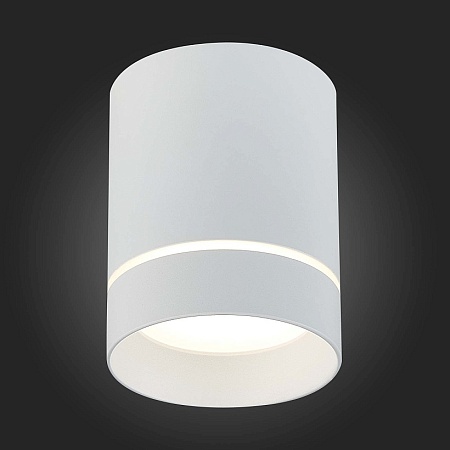 Светильник потолочный Белый LED 1*12W 4000K 840Lm Ra>90 120° IP20 D79xH100 170-240V ST115.542.12 - фото