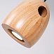 Подвесной Светильник Large Oak D13 Imperiumloft 213680-22 - фото