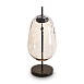 Настольный светильник Freya FR5586TL-01B - фото