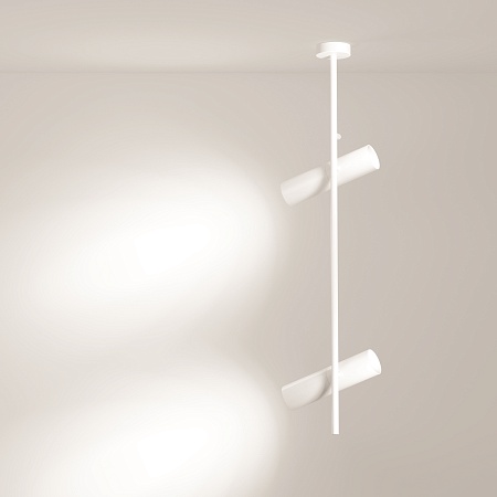 Потолочный светильник Technical Elti C021CL-02W - фото