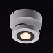 Спот MW-Light Астор 545020801 - фото