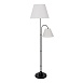 Торшер Arte Lamp ALEA A5068PN-2BK - фото