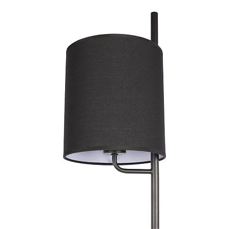 10253F/A Black Торшер LOFT IT Ritz - фото