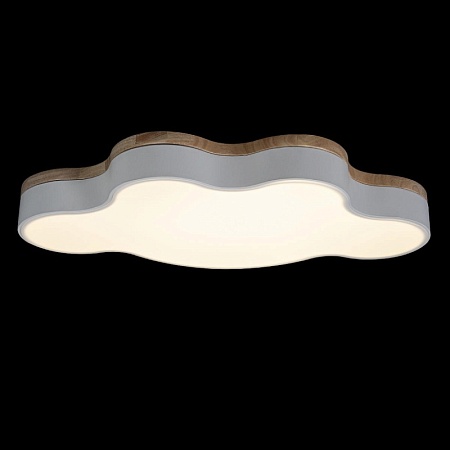 10005/36 White Потолочный светильник LOFT IT Axel - фото