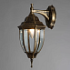 Уличный настенный светильник Arte Lamp PEGASUS A3152AL-1BN - фото